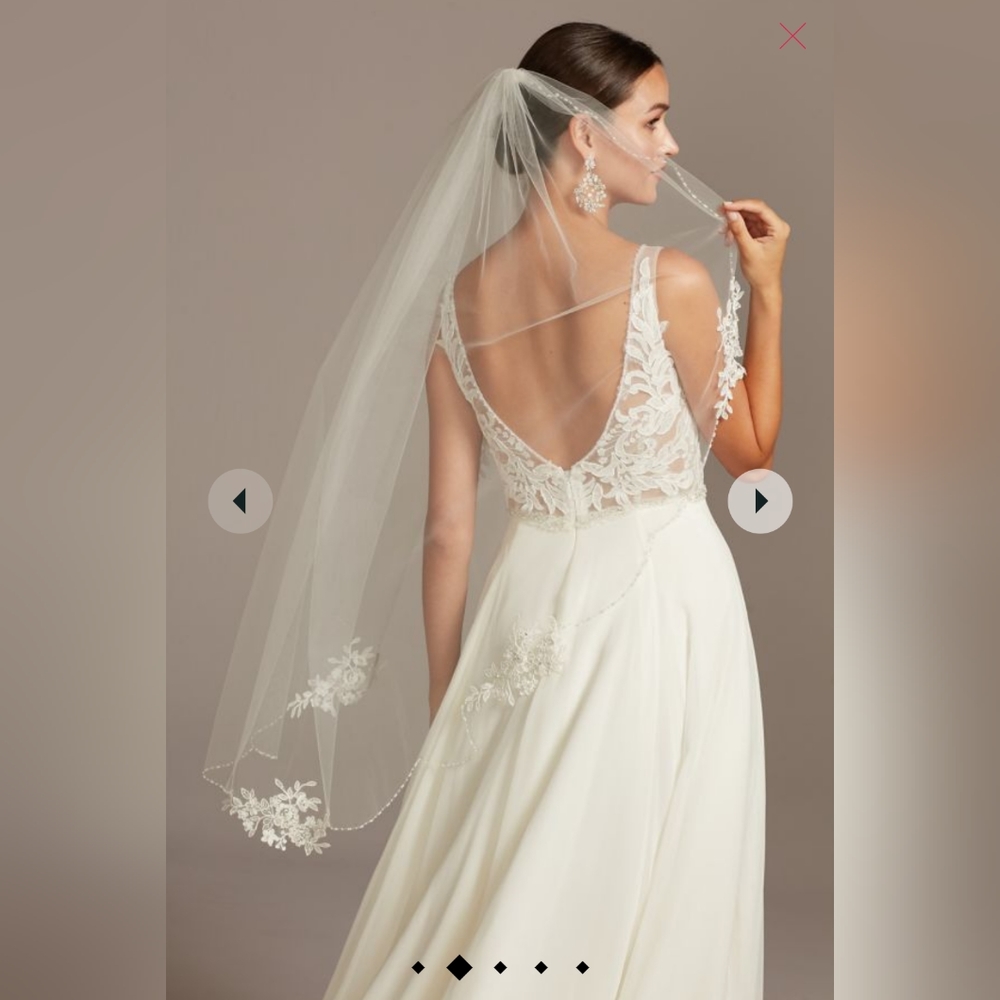 David's Bridal mid-length veil